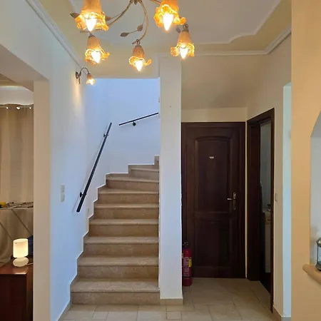 Levanda פיסקרדו