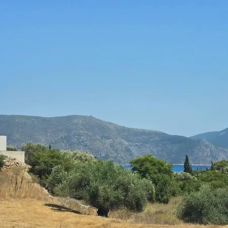 Levanda * フィスカルドン